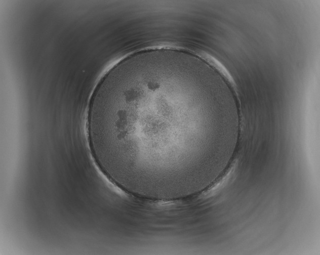 X0000112950847200908241341