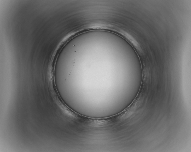 X0000112950848200908241341