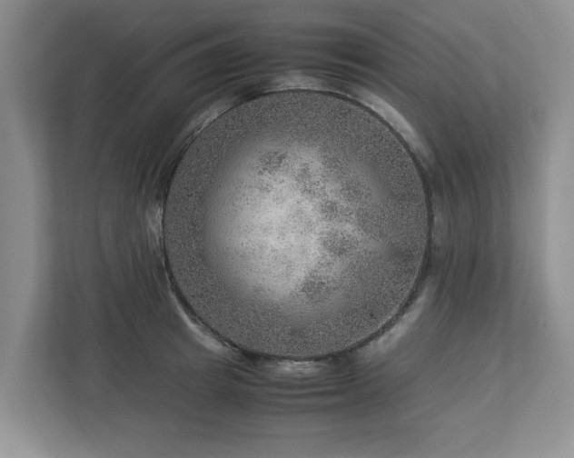 X0000112950849200908241341