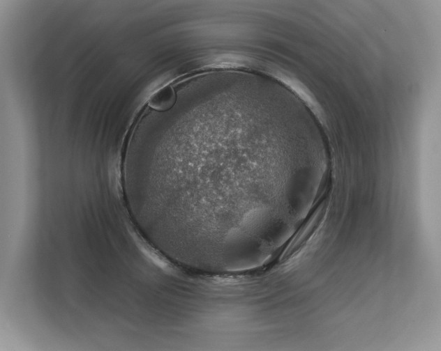 X0000112950850200908241341