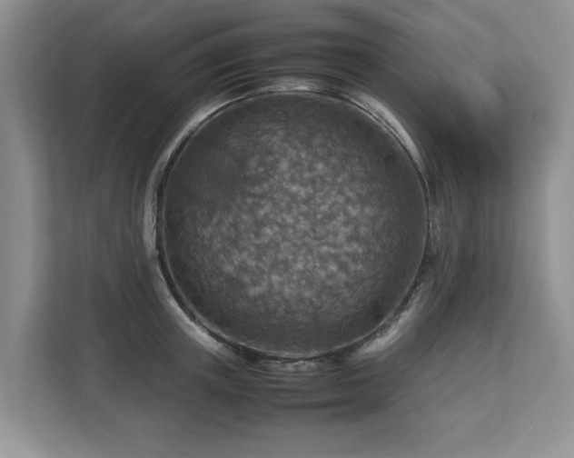 X0000112950851200908241341