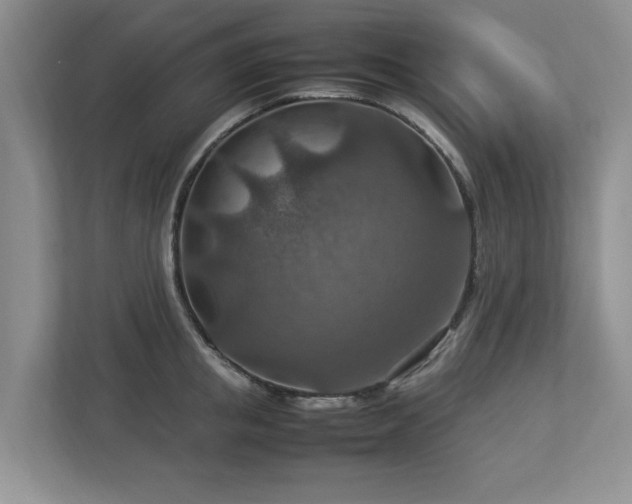 X0000112950853200908241341