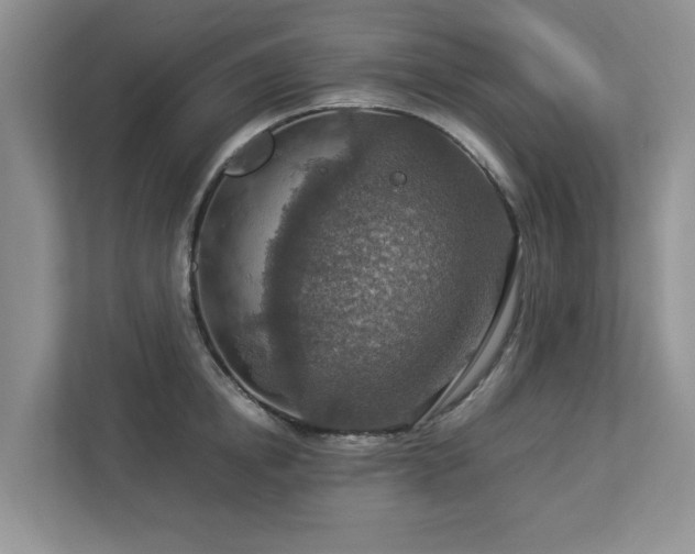 X0000112950854200908241341