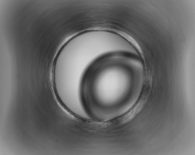 X0000112950855200908241341