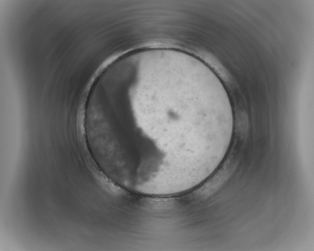 X0000112950856200908241341