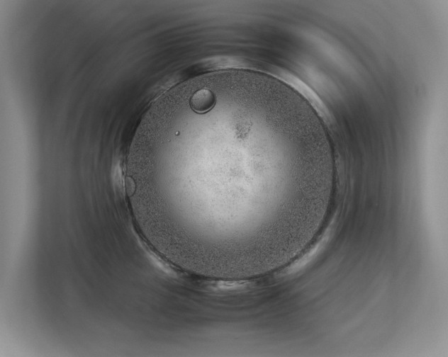 X0000112950857200908241341