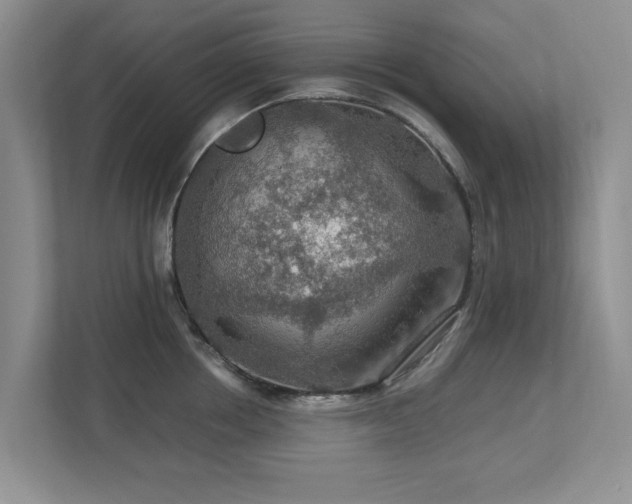 X0000112950858200908241341