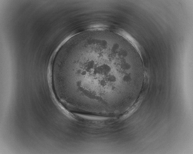 X0000112950859200908241341