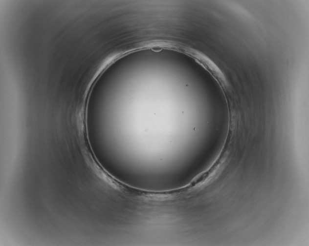 X0000112950860200908241341