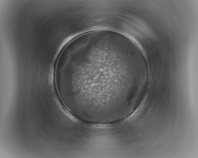 X0000112950862200908241341