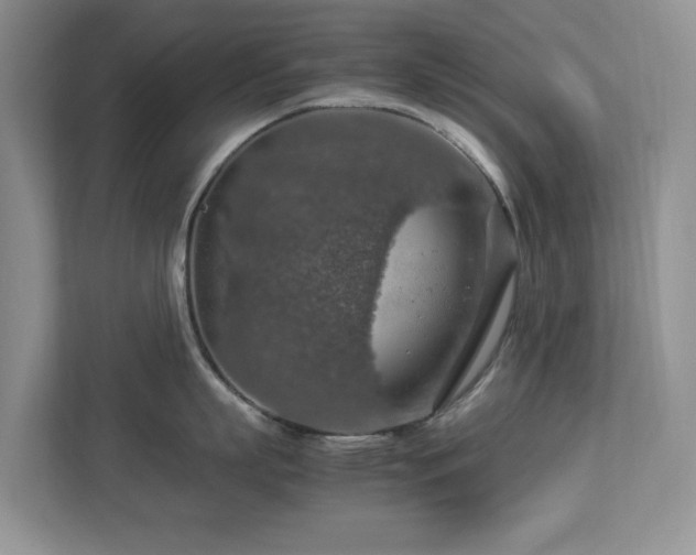 X0000112950863200908241341