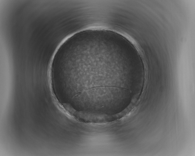 X0000112950864200908241341