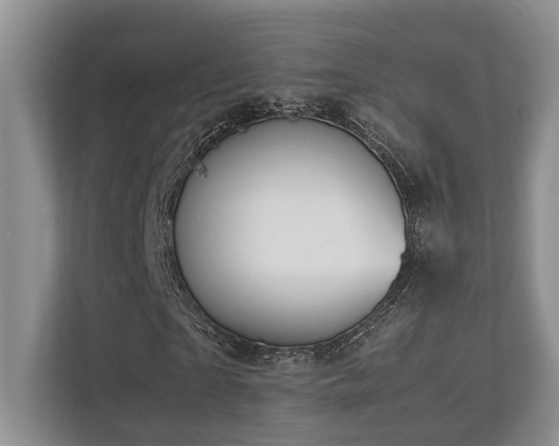 X0000112950865200908241341