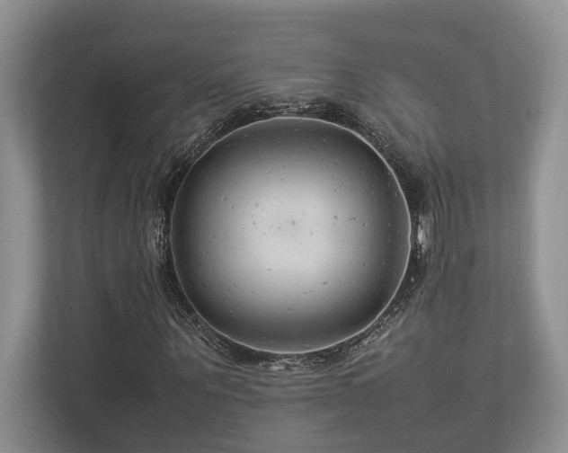 X0000112950867200908241341