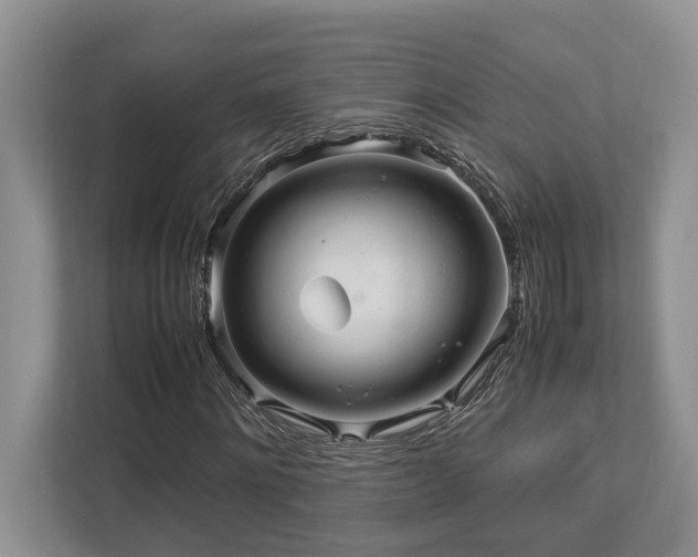 X0000112950868200908241341