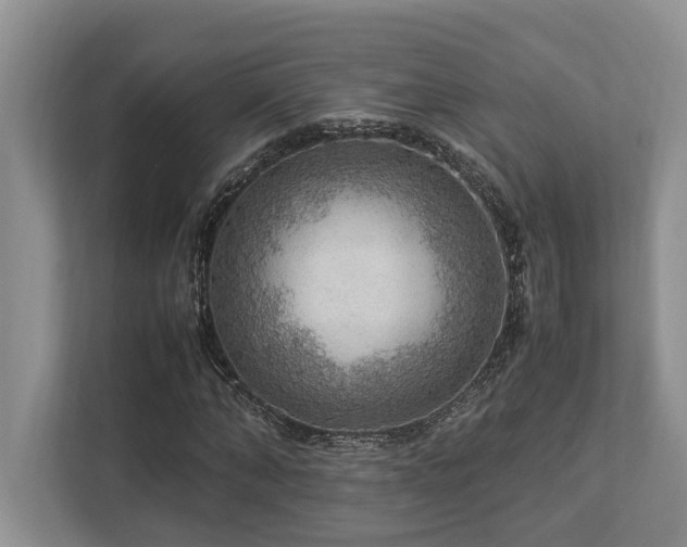 X0000112950870200908241341