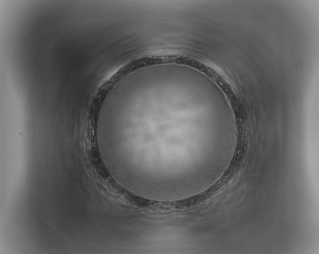 X0000112950871200908241341