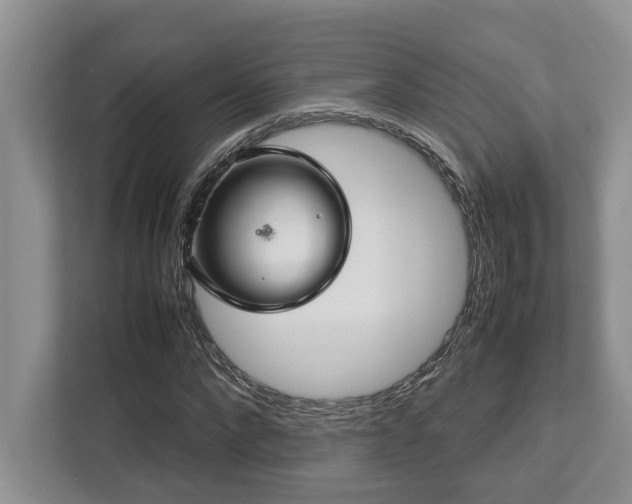 X0000112950872200908241341