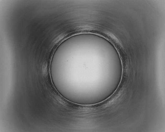 X0000112950873200908241341