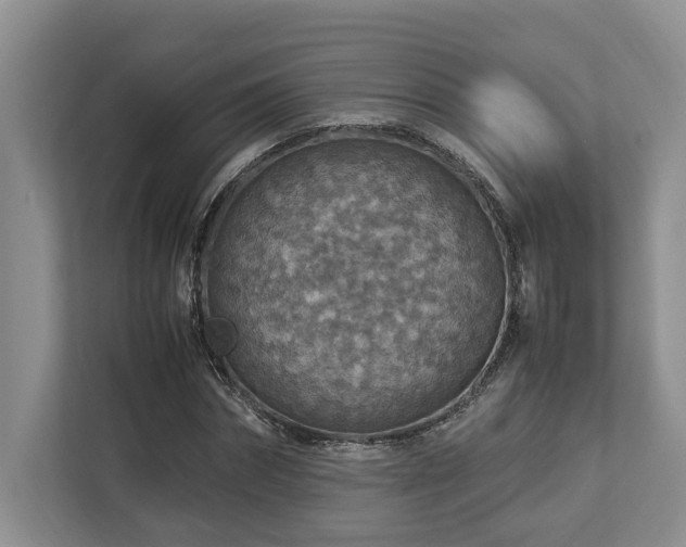 X0000112950874200908241340