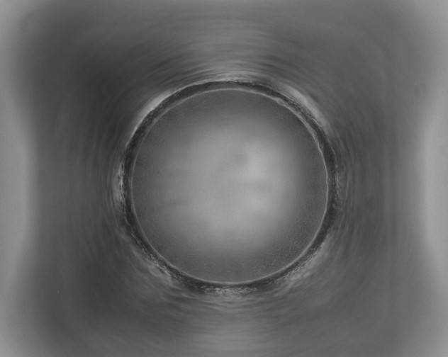 X0000112950875200908241340