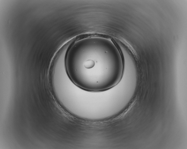 X0000112950876200908241340