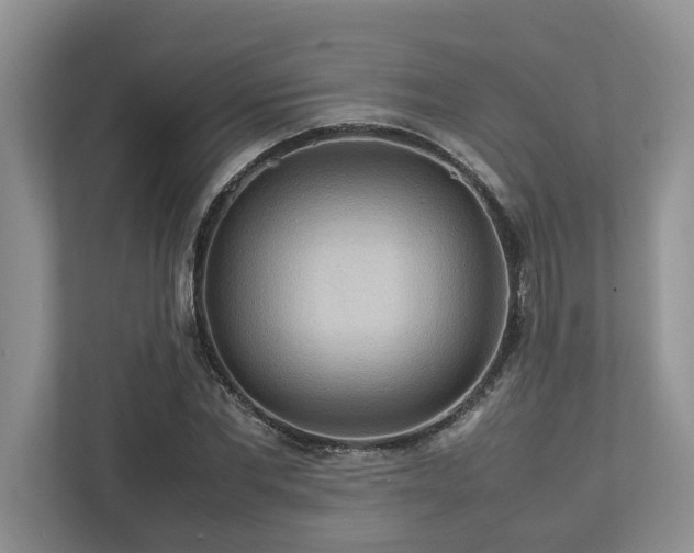 X0000112950877200908241340