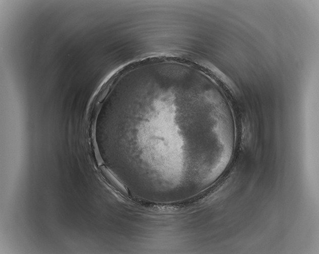 X0000112950878200908241340