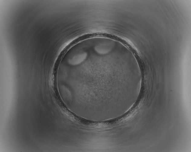 X0000112950879200908241340