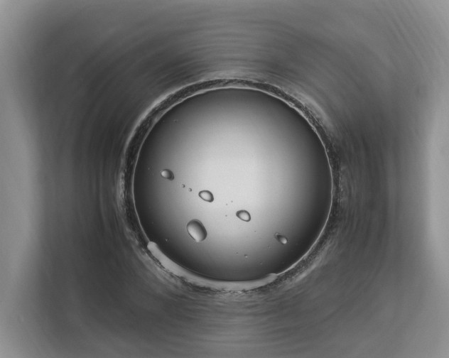 X0000112950880200908241340