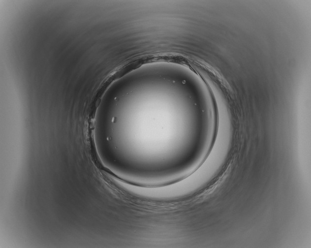 X0000112950881200908241340