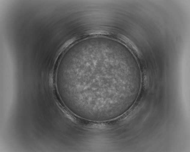 X0000112950882200908241340