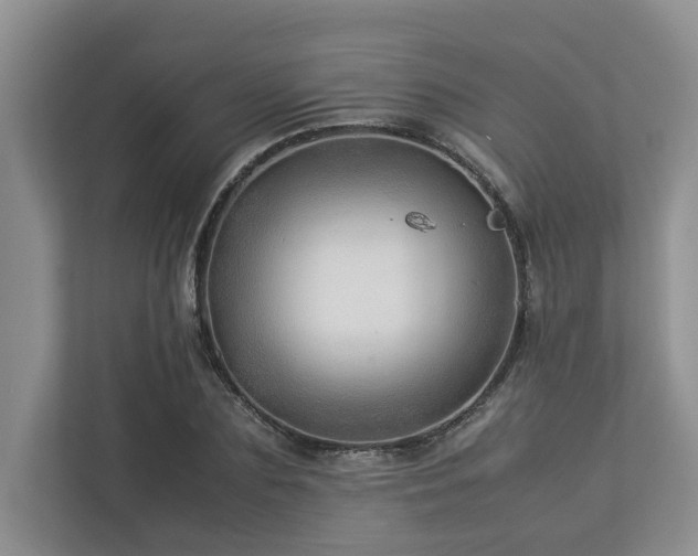 X0000112950883200908241340