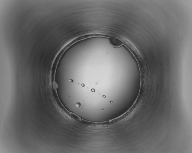 X0000112950884200908241340