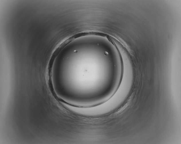 X0000112950885200908241340