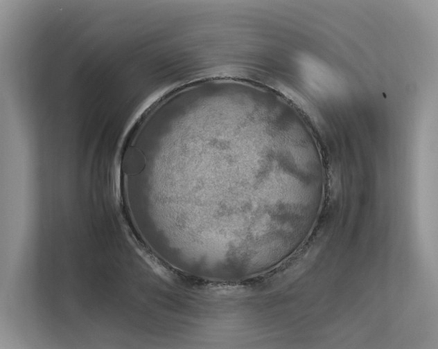 X0000112950886200908241340