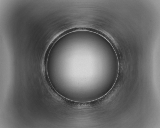 X0000112950887200908241340