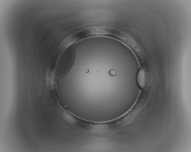 X0000112950889200908241340