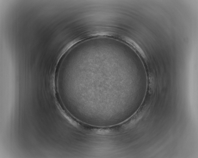 X0000112950890200908241340