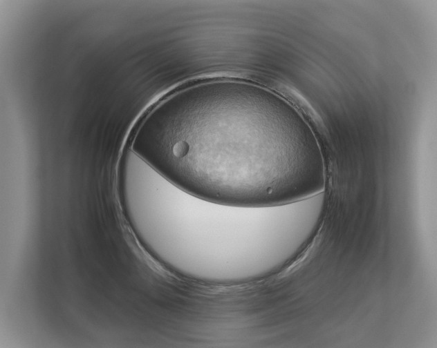 X0000112950892200908241340