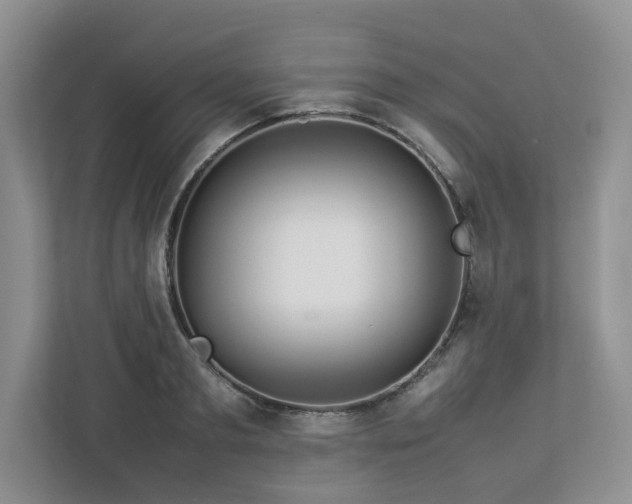 X0000112950893200908241340