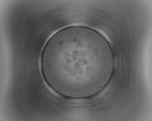 X0000112950895200908241340