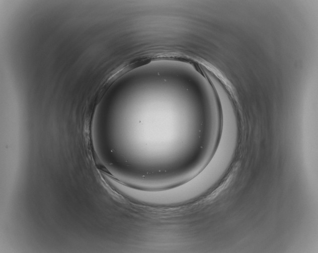 X0000112950897200908241340