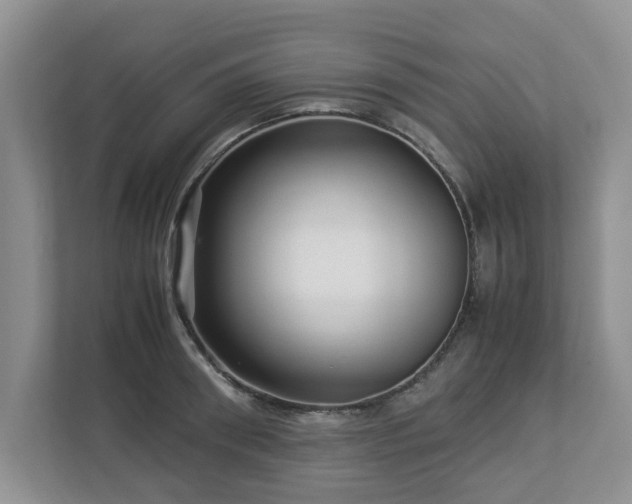 X0000112950898200908241340