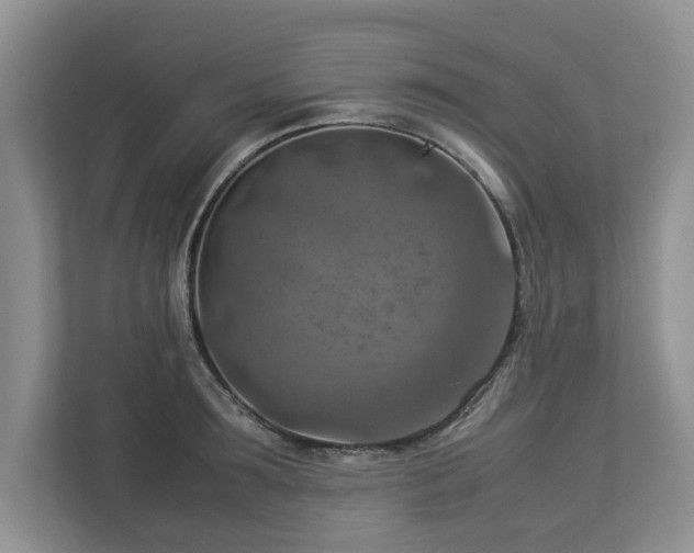 X0000112950899200908241340