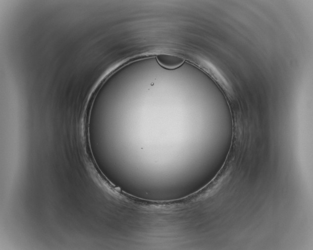 X0000112950900200908241340