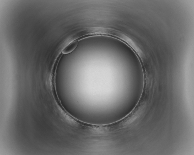 X0000112950901200908241340