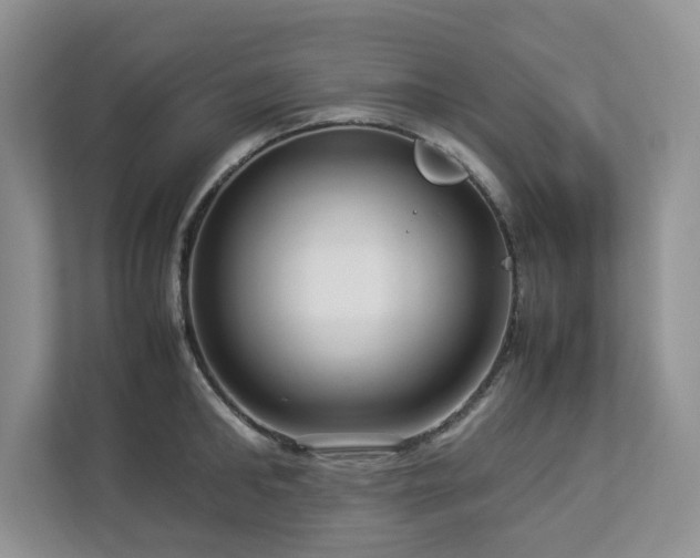 X0000112950902200908241340