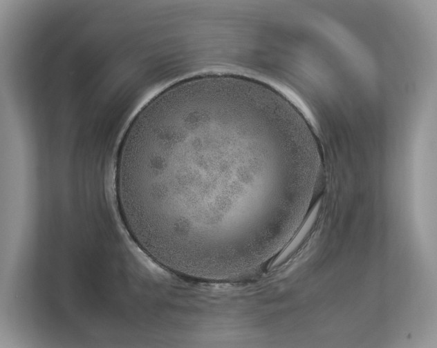 X0000112950903200908241340