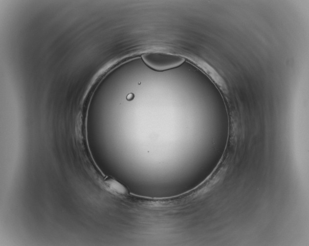 X0000112950904200908241340